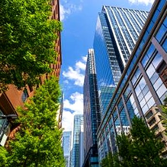 Glass office towers rising above trees